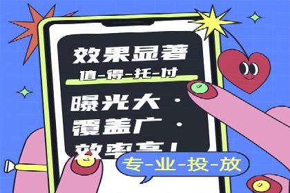 SEM广告投放策略：成功案例解析